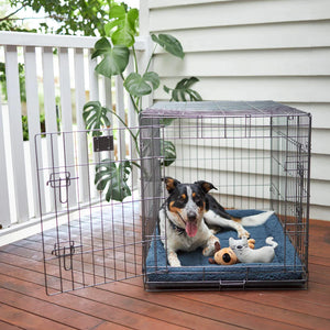 Kazoo Everyday Dog Crate