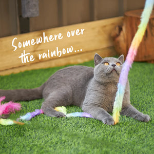Kazoo Fluffy Rainbow Tail Cat Toy