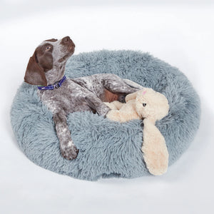 Kazoo Furries Long Eared Bunny Dog Toy