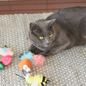 Kazoo Garden Treats Cat Toy