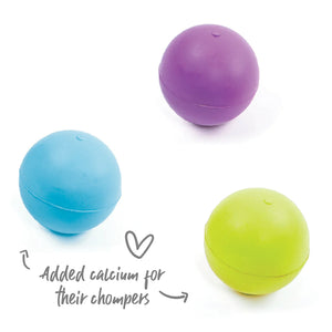 Kazoo Rubber Ball Dog Toy