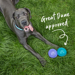 Kazoo Space Ball Dog Toy