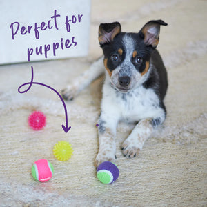 Kazoo Space Ball Dog Toy