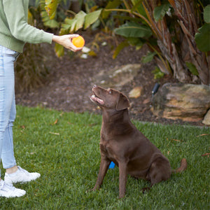 Kazoo Squeaky Space Ball Dog Toy