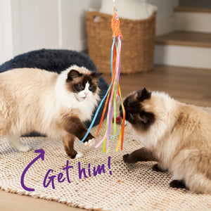 Kazoo Streamer Fish Wand Cat Toy