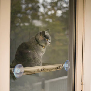 Kazoo The Lookout Window Cat Bed