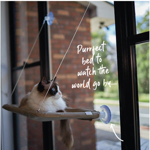 Kazoo The Lookout Window Cat Bed
