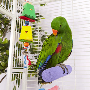 Kazoo Twin Hanging Cardboard Foraging Box