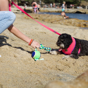 Kazoo Twisted Rope Sling Ball Dog Toy