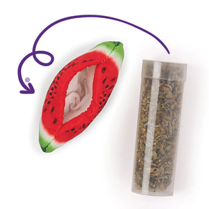 Kazoo Watermelon Wedge Cat Toy