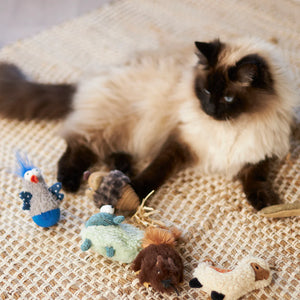 Kazoo Wobble Duck Cat Toy