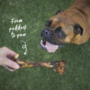 Kazoo Prime Cuts Pork Bone