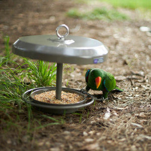 Kazoo Outdoor Bird Feeder