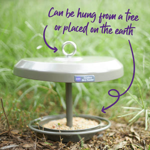 Kazoo Outdoor Bird Feeder