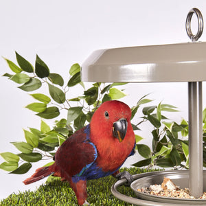 Kazoo Outdoor Bird Feeder