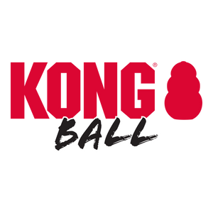 KONG Extreme Ball Dog Toy