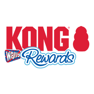 KONG Rewards Wally Treat Dispensing Dog Toy