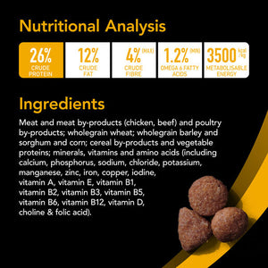 Supercoat Adult Active Dry Dog Food