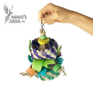 Ninos Java Tropicana