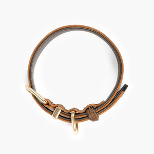 EzyDog Oxford Collar