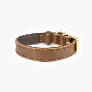 EzyDog Oxford Collar