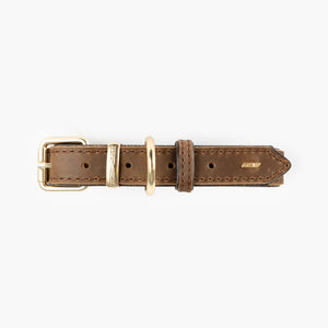 EzyDog Oxford Collar