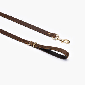 EzyDog Oxford Leash