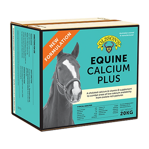 Olssons Equine Calcium Plus Lick Block