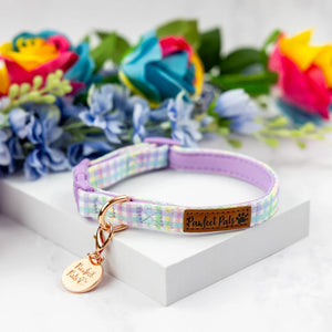 Soft Dog Collar Rainbow Gingham