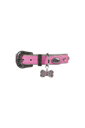 Pure Western Tilly Dog Collar