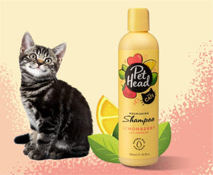 Pet Head Felin' Good Shampoo