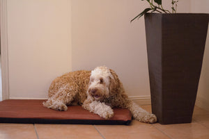 Pet Pillow Flea Free Kennel Mat