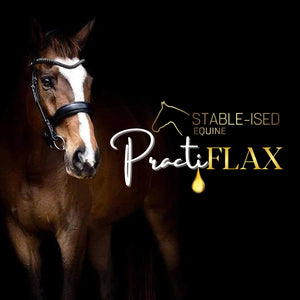 Stable-Ised Equine PractiFlax