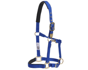 GG Aust Deluxe Nylon Halter