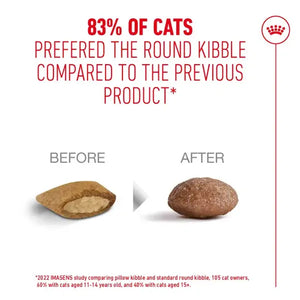 Royal Canin Cat Ageing 11+ Dry Food