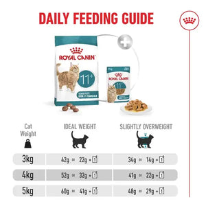 Royal Canin Cat Ageing 11+ Dry Food