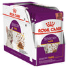 Royal Canin Cat Sensory Taste Gravy Wet Cat Food