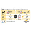 Royal Canin Cat Sensory Taste Gravy Wet Cat Food