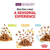 Royal Canin Cat Sensory Taste Gravy Wet Cat Food