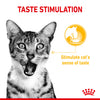 Royal Canin Cat Sensory Taste Gravy Wet Cat Food