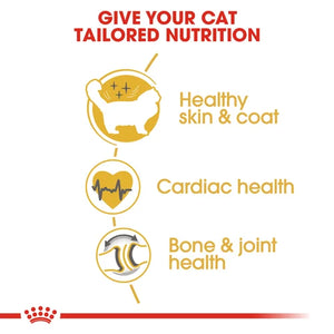 Royal Canin Cat Ragdoll Dry Food