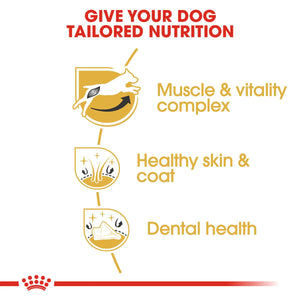 Royal Canin Jack Russell Terrier Adult Dry Dog Food