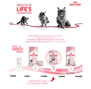 Royal Canin Kitten Chunks in Gravy Wet Cat Food