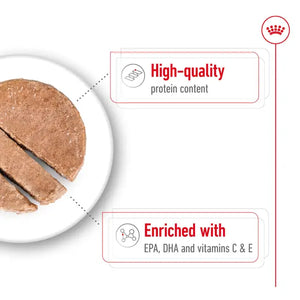 Royal Canin Medium Ageing Wet Dog Food