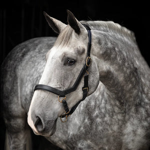 Horseware Ireland Rambo Micklem Headcollar