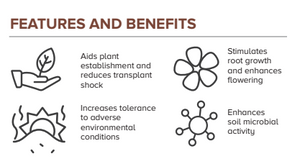 Seasol Commercial Seaweed Concentrate