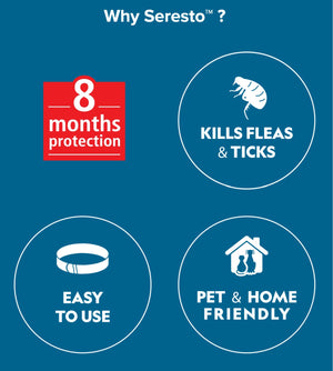 Seresto Flea and Tick Dog Collar