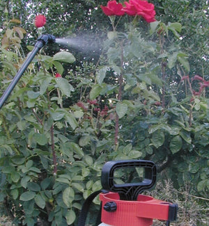 Solo 462 7.5L Manual Sprayer