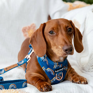 Adjustable Dog Harness Wild at Heart