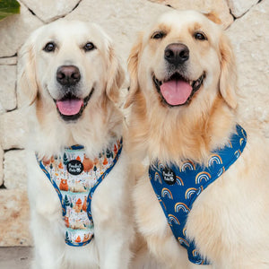 Reversible Dog Harness Wild at Heart